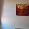 Photo 2: Bedroom