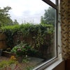 Photo 4: A view from window to garden 