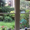 Photo 2: Garden
