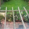 Photo 5: Garden view from light airy room