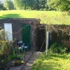Photo 7: Garden