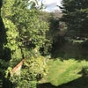 Photo 2: Garden