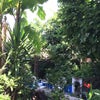 Photo 7: Garden