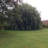 Photo 4: Front garden