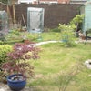 Photo 3: This a picture of the garden which you are welcome to use!