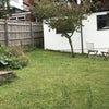 Photo 7: Garden and one of 2 sheds