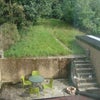 Photo 7: garden / patio