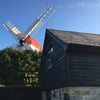Photo 6: Location of house, under windmill