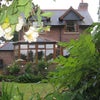 Photo 7: Cottage from back garden
