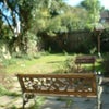 Photo 4: Garden