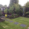 Photo 8: Back garden