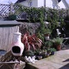 Photo 5: Shared sunny courtyard