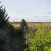Photo 8: window view