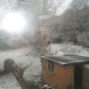 Photo 3: Garden in Winter