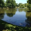 Photo 3: Green bank pk