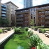 Photo 8: Communal Gardens!