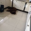 Photo 5: Kitchen