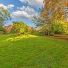 Photo 9: Huge peaceful garden