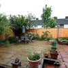Photo 8: Garden