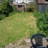 Photo 3: Garden