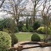 Photo 4: Garden