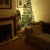 Photo 7: living room at christmas