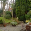 Photo 7: Right hand Side of Back Garden