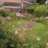 Photo 8: Large Sunny Garden