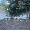 Photo 8: Garden area