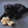 Photo 9: 6-year-old Gus