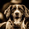 Photograph of Fiona