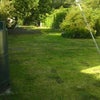 Photo 3: Garden