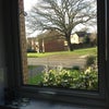 Photo 3: View from kitchen