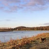 Photo 5: The local area. And my dog! 