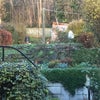 Photo 6: The garden in winter 