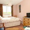 Photo 2: Cozy double (available short-term or longer-term)