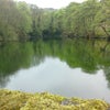 Photo 7: The beautiful wood and dam next door!