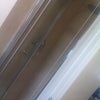 Photo 4: En-Suite Shower
