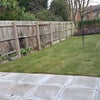 Photo 9: Garden
