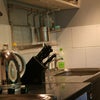 Photo 4: Kitchen