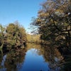 Photo 9: River View from Terrace