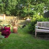 Photo 2: Garden