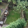Photo 7: Garden
