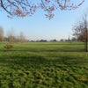 Photo 9: Brockwell Park - there is 126 acres of it!