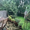 Photo 2: Patio and Garden