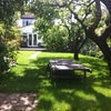 Photo 5: garden