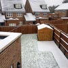 Photo 6: Garden and shed