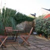 Photo 6: Garden