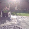Photo 5: Garden