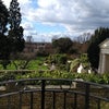 Photo 5: View from one of the balconies